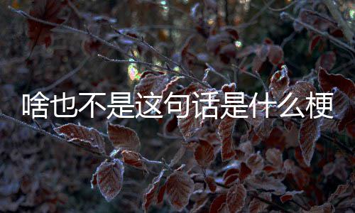 不是话是这句梗啥也什么