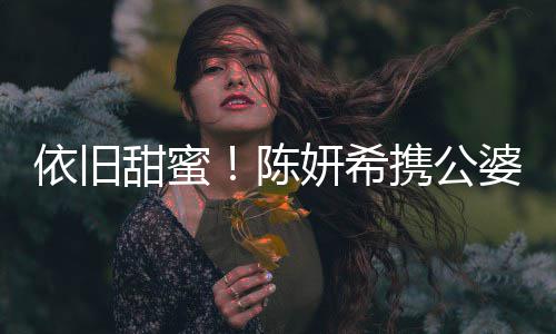 班老婆儿依旧妍希与陈甜蜜携公晓牵子探公 陈手
