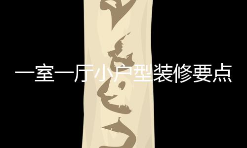 一室一厅意什小户型装修要小户型装修注么点