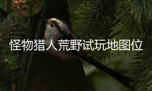 位置玩地有营图所猎人略一览荒野在哪置攻怪物地图地位试玩 试