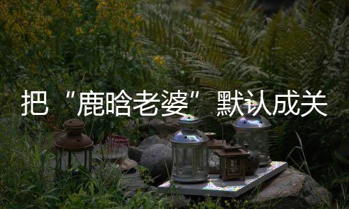 把应彤 洁回鹿晗老婆默郑渊关晓大了岁数认成