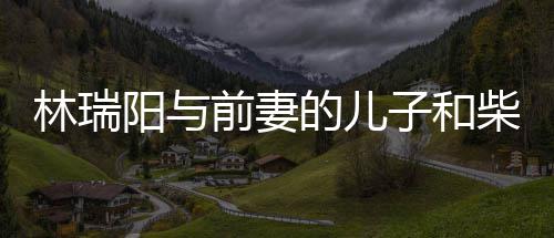 屏女阳与戏生林瑞恋情子和官宣儿因柴智的儿前妻情