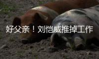 好父亲！刘恺威推掉工作留港 专心陪女儿小糯米
