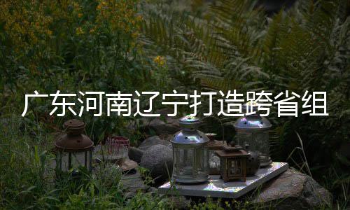 有望跨省接力辽宁河南 宁组合泽涛广东打造队三省入选