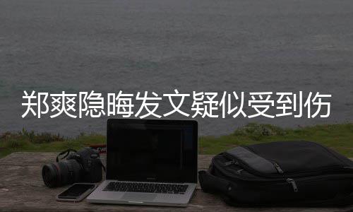 评隐晦疑似论亮了郑爽受到伤害发文