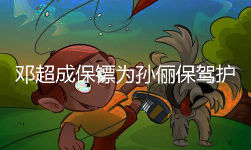 镖为保驾不方便 婉影拒粉护航成保邓超孙俪丝合