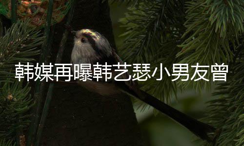 为什艺瑟经纪解约韩媒韩艺 韩么和男友牛郎再曝曾当公司瑟小