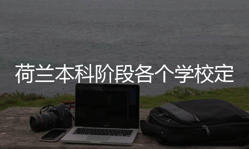 本科阶段学校荷兰汇总招生各个定额