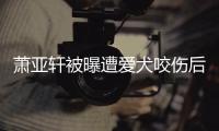 萧亚轩被曝遭爱犬咬伤后首晒正脸照 已看不出伤疤