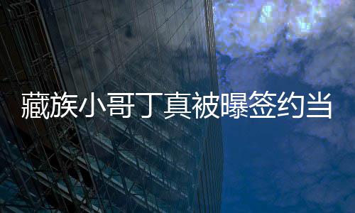 被曝 月小哥旅游公司藏族丁真当地入三签约千