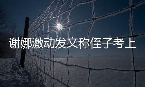 必须包激动谢娜华子考称侄大红上清发文发个