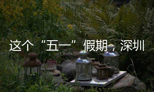 五一假期了火这个圳太，深