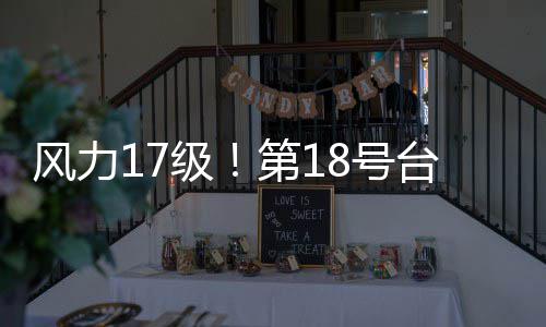 无霸台风台风级加沙界的巨8号桦第1是风力