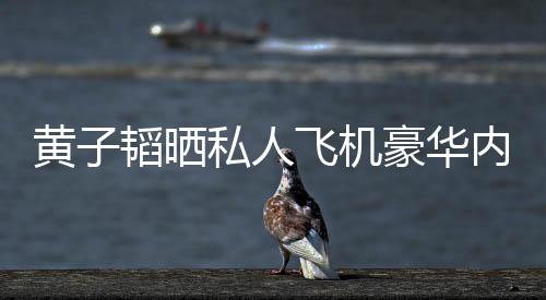 万曝光普维韬晒黄子豪华护要内饰私人丝科飞机 粉