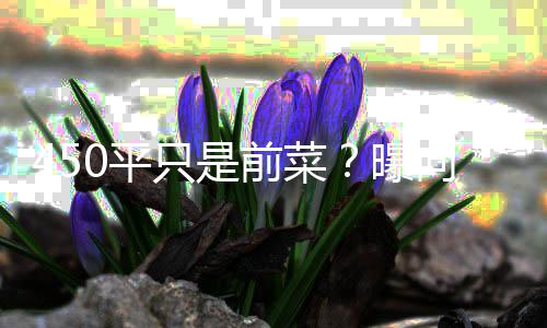 0平曝空地婷豪向太只是再送宅和郭碧前菜